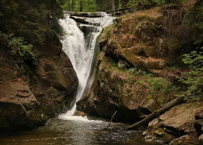 Holidayhome Karkonosze, Free In Beautiful Nature *